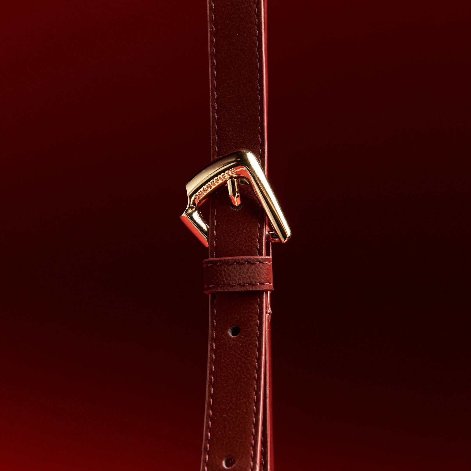 [GET 1 FREE CHARM] Bag KAMELEON in Velvet Dark Red