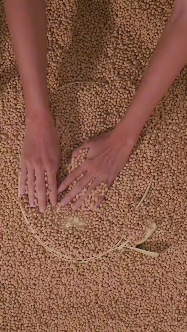 CHAUTFIFTH Bag Bean video butter 720p