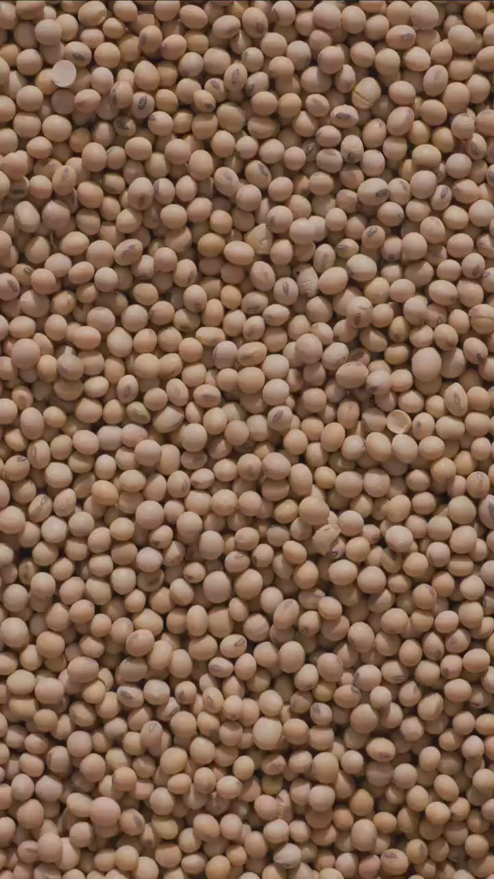 CHAUTFIFTH Bag Bean video montage 720p